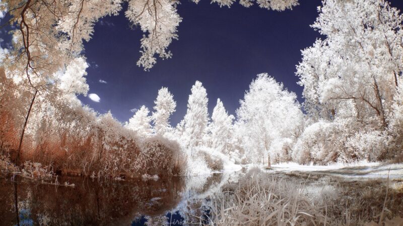 Jerome Pouille about infrared photography