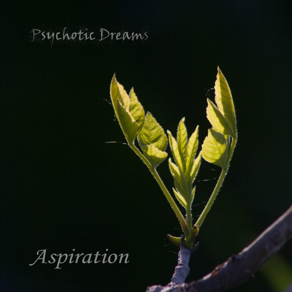 Aspiration cover
